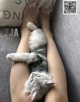 25岁的相亲对象是学生