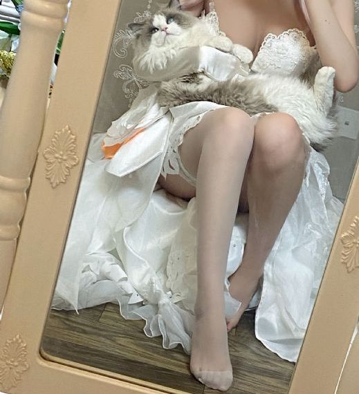 少主且慢行