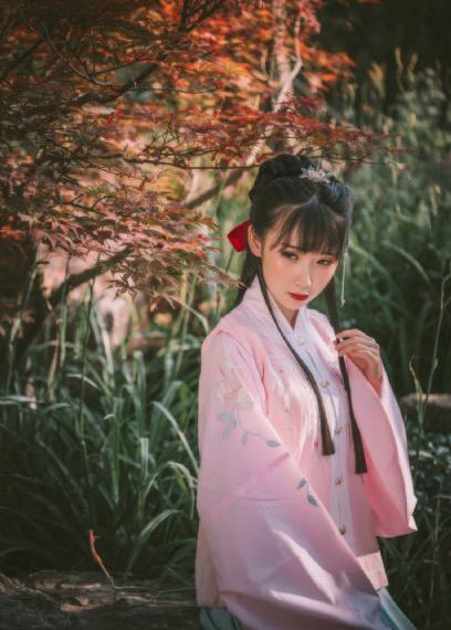 《妻子5》免费