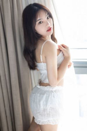 法兰西特派