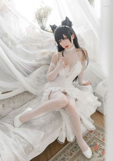 夜城赋电视剧免费高清在线观看